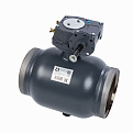 065N0171GR RJIP Premium Кран шаровой WW DN350 PN25 WG (приварной, с редуктором, С/П), Ридан