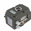 082X4538R Затвор Ридан PN16 DN250 чугун/EPDM/ЭП220В