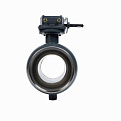 065N0171GR RJIP Premium Кран шаровой WW DN350 PN25 WG (приварной, с редуктором, С/П), Ридан